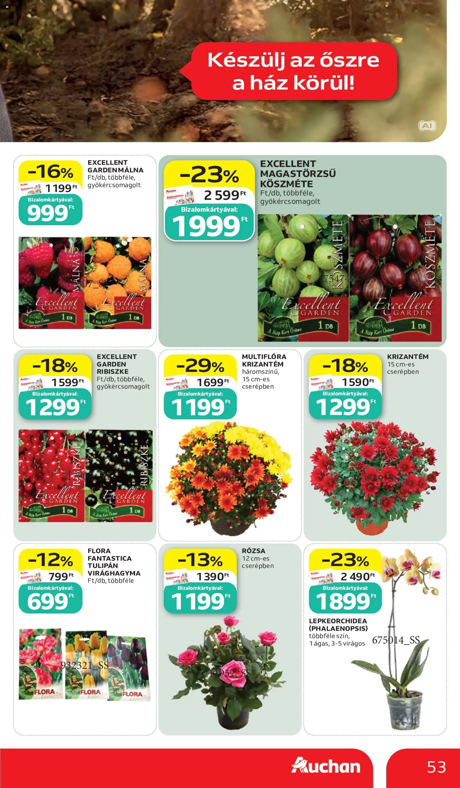 Auchan akciós újság Akciós újság in Magyarország