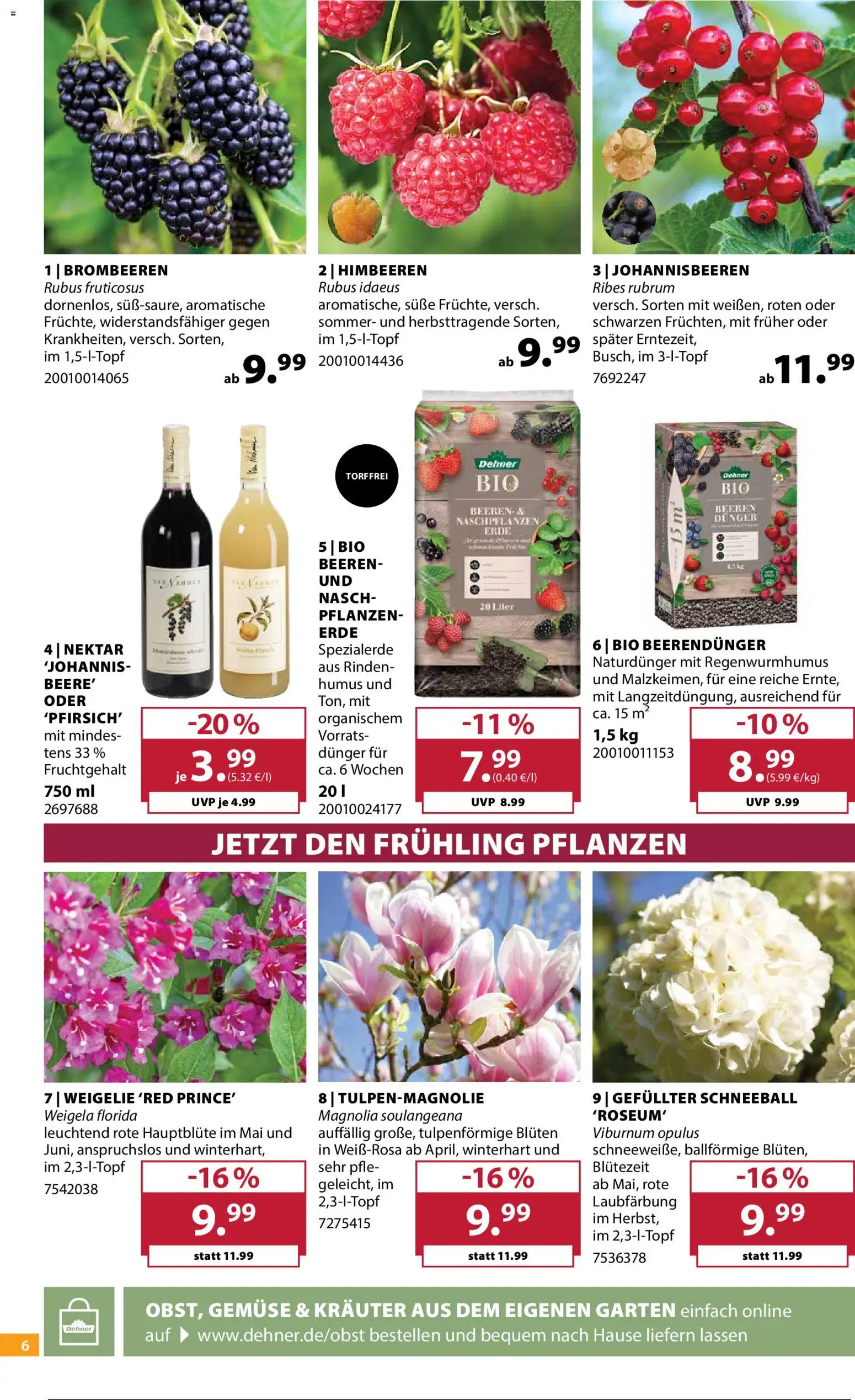 Dehner Prospekt Prospekt in Deutschland
