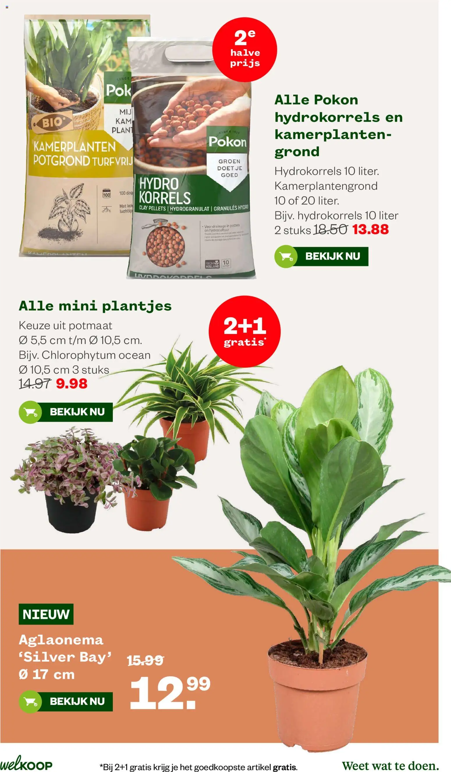 Welkoop folder Folder in Nederland