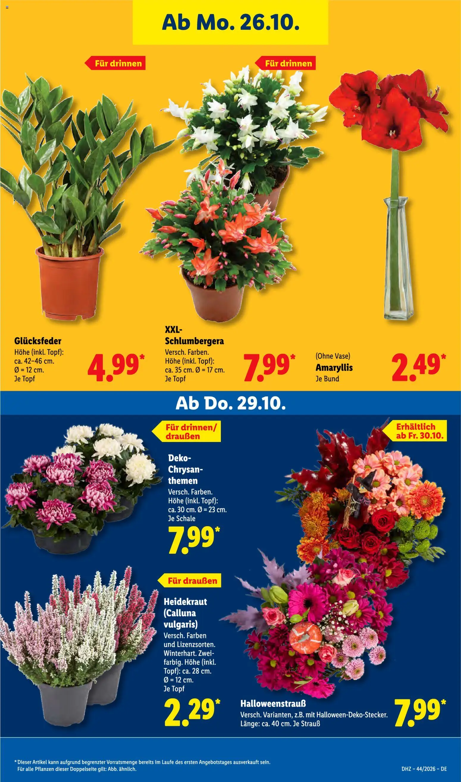 Lidl Prospekt Prospekt in Deutschland