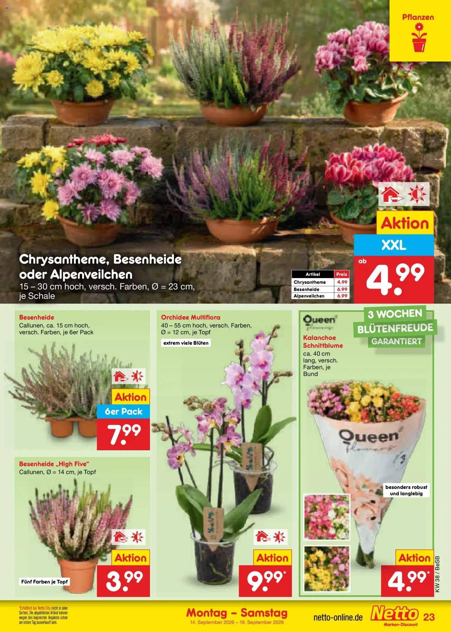 Netto Marken-Discount Prospekt Prospekt in Deutschland