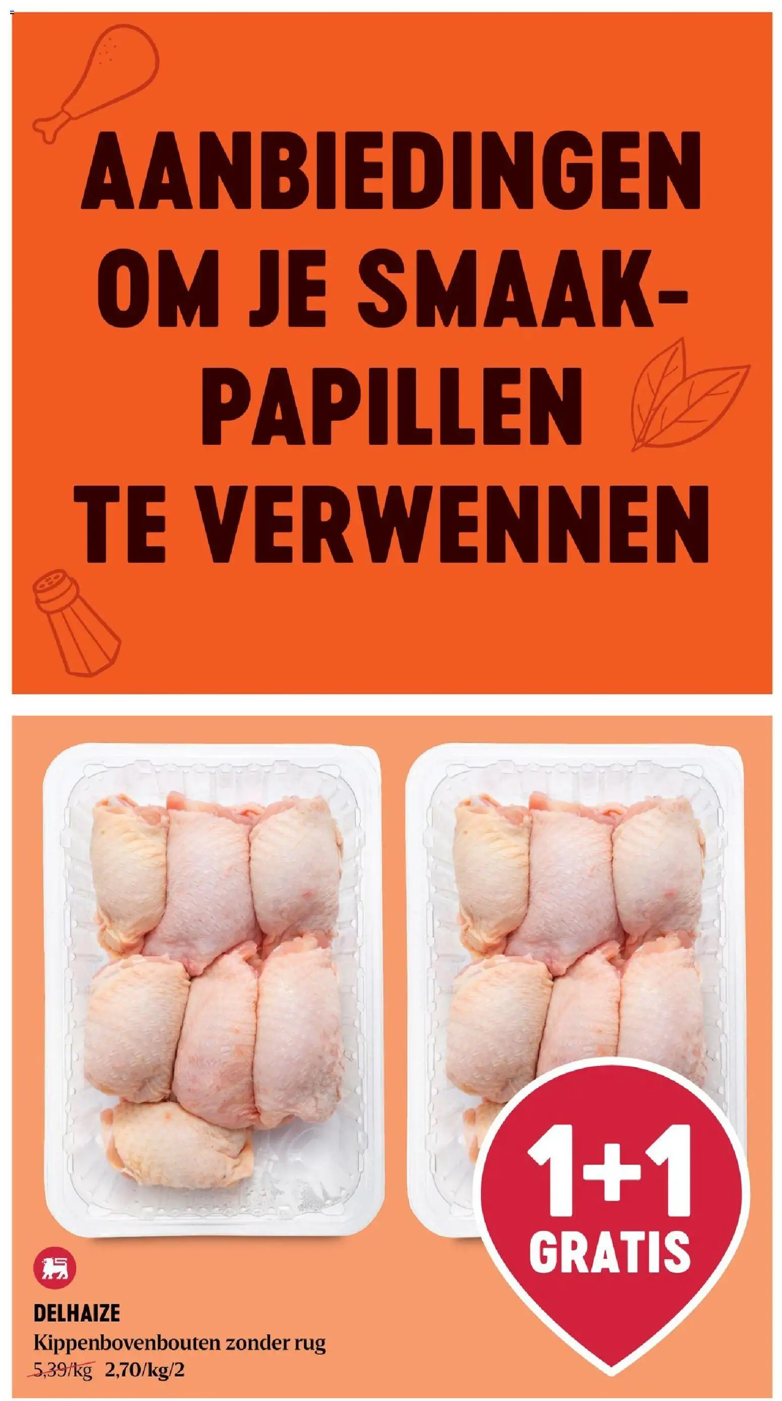 Delhaize folder Folder in België