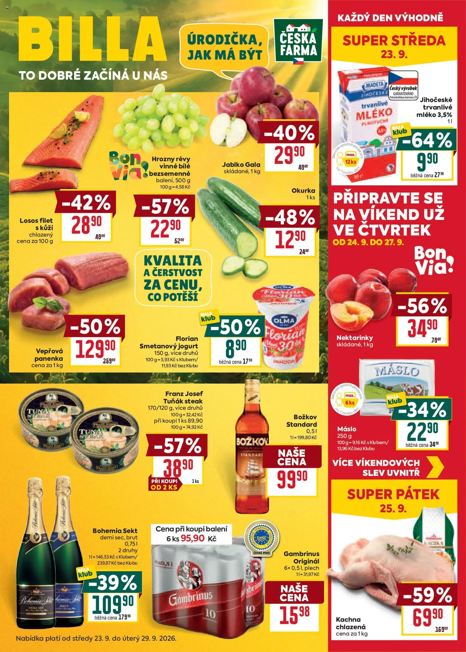 Billa Velký leták Leták in Česko