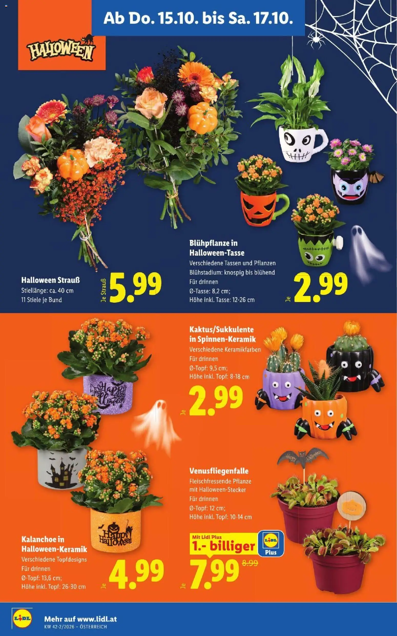 Lidl Flugblatt Flugblatt in Österreich
