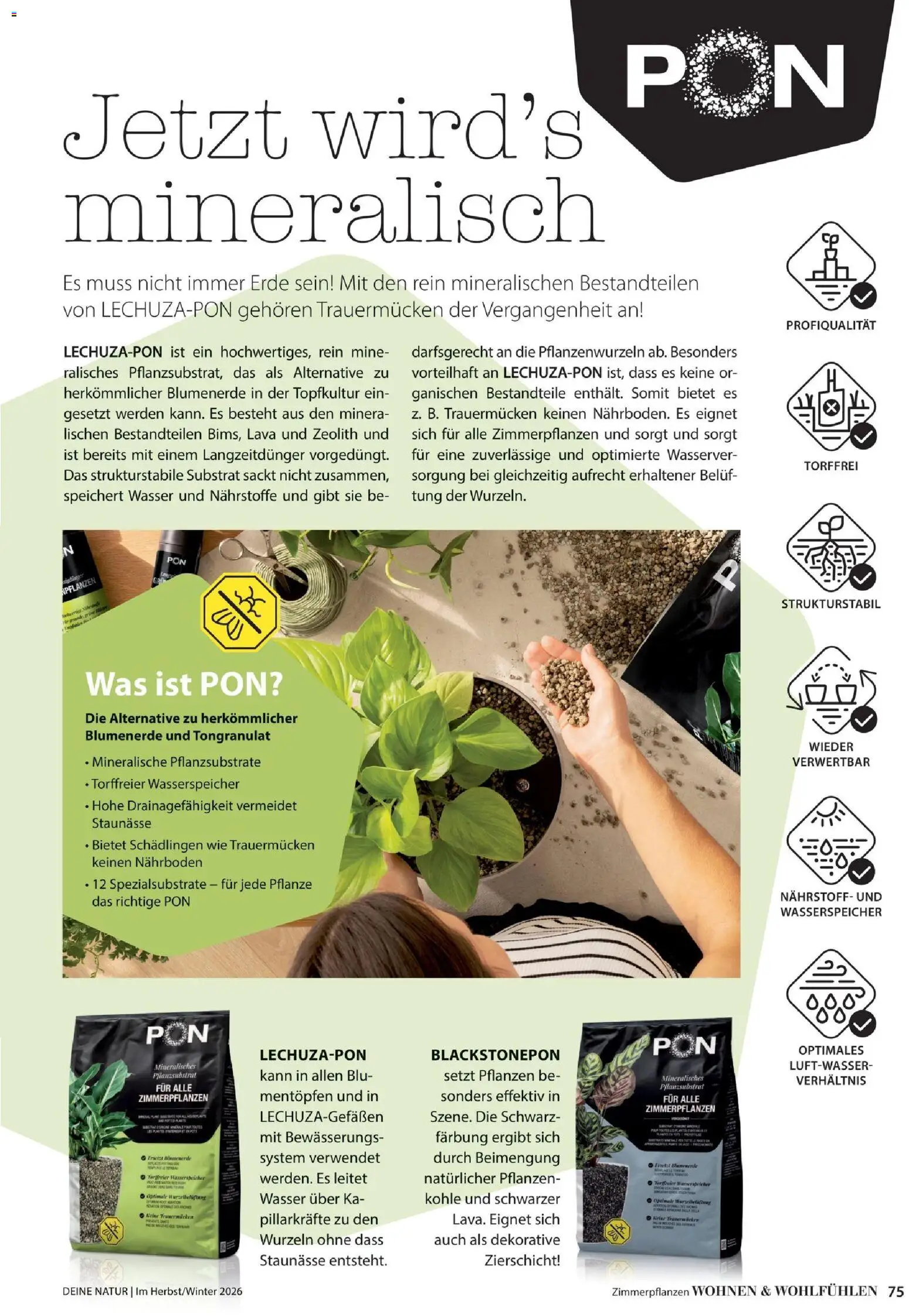 Dehner Prospekt Prospekt in Deutschland