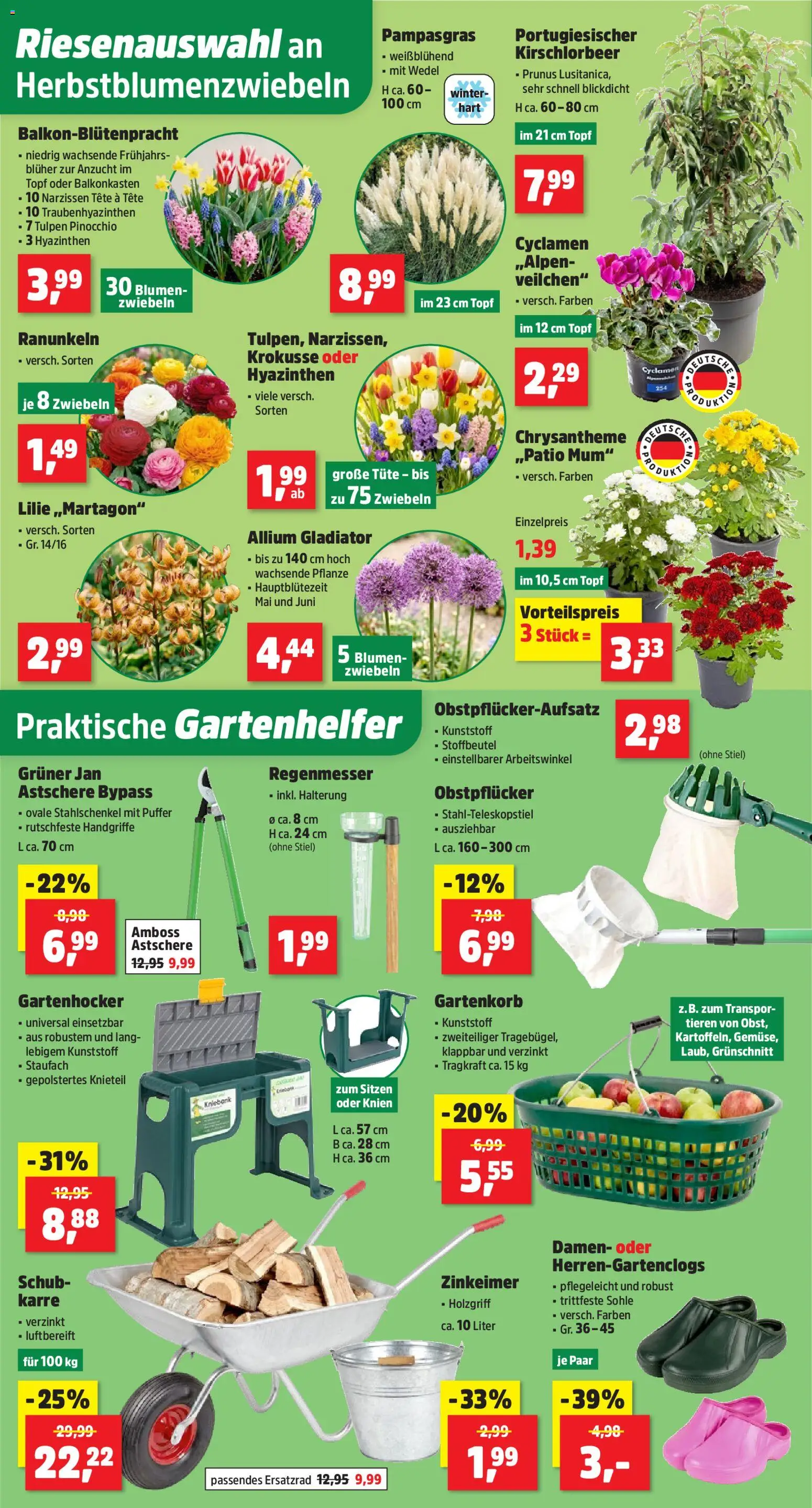 Thomas Philipps Prospekt Prospekt in Deutschland