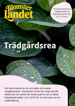 Blomsterlandet Blomsterlandet erbjudanden