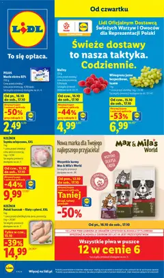 Lidl Lidl gazetka