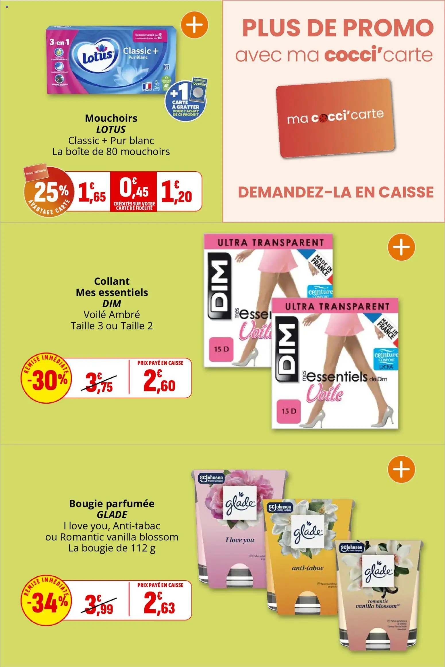 Coccinelle catalogue Catalogue in France