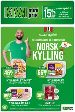 Kiwi Kiwi kundeavis