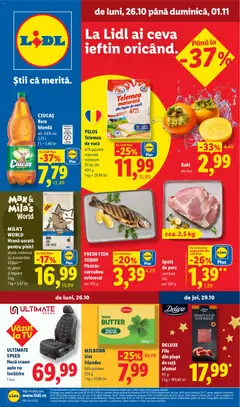 Lidl Lidl Catalog
