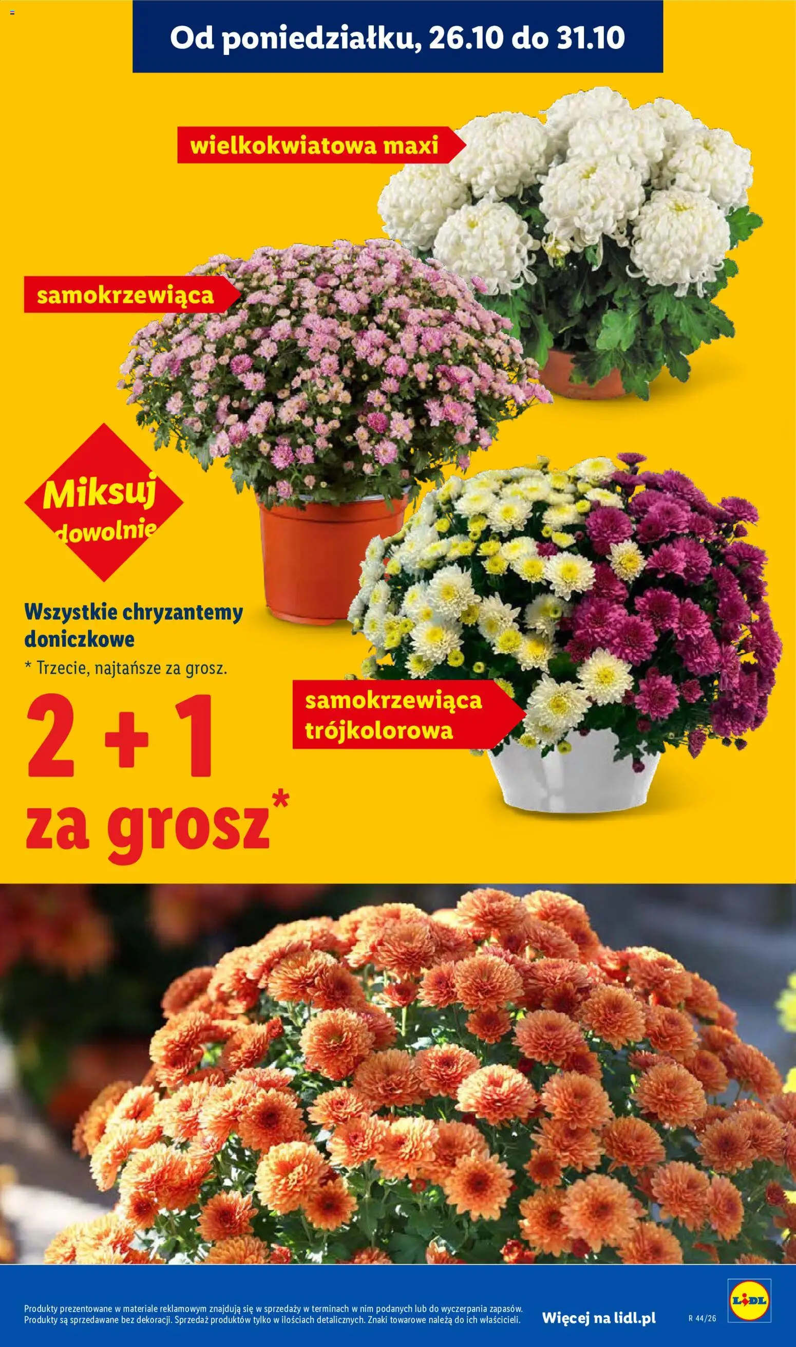 Lidl Polsko leták Leták in Česko