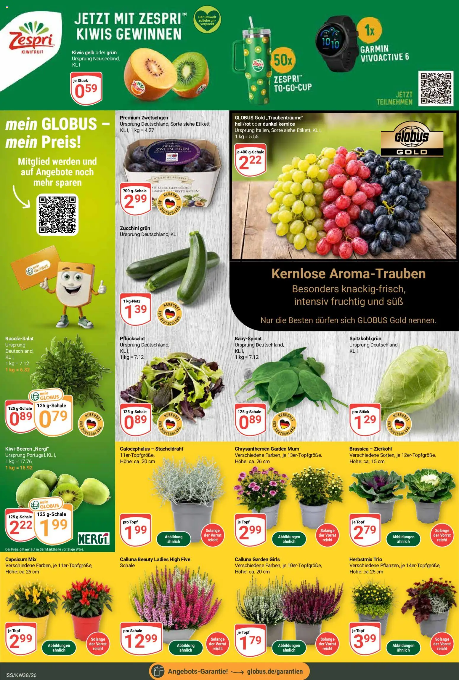 Globus Prospekt Prospekt in Deutschland