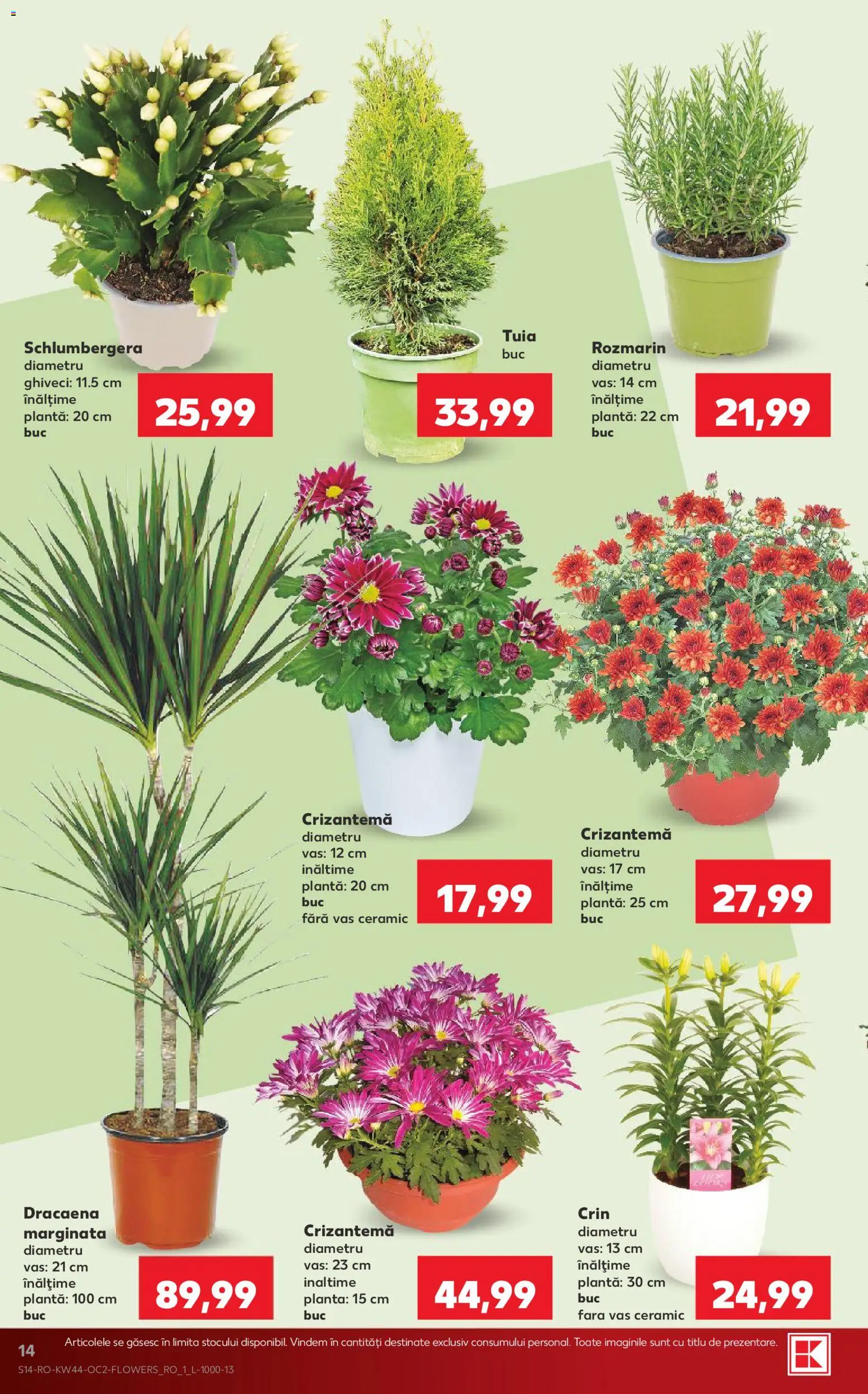 Kaufland Catalog Catalog in România