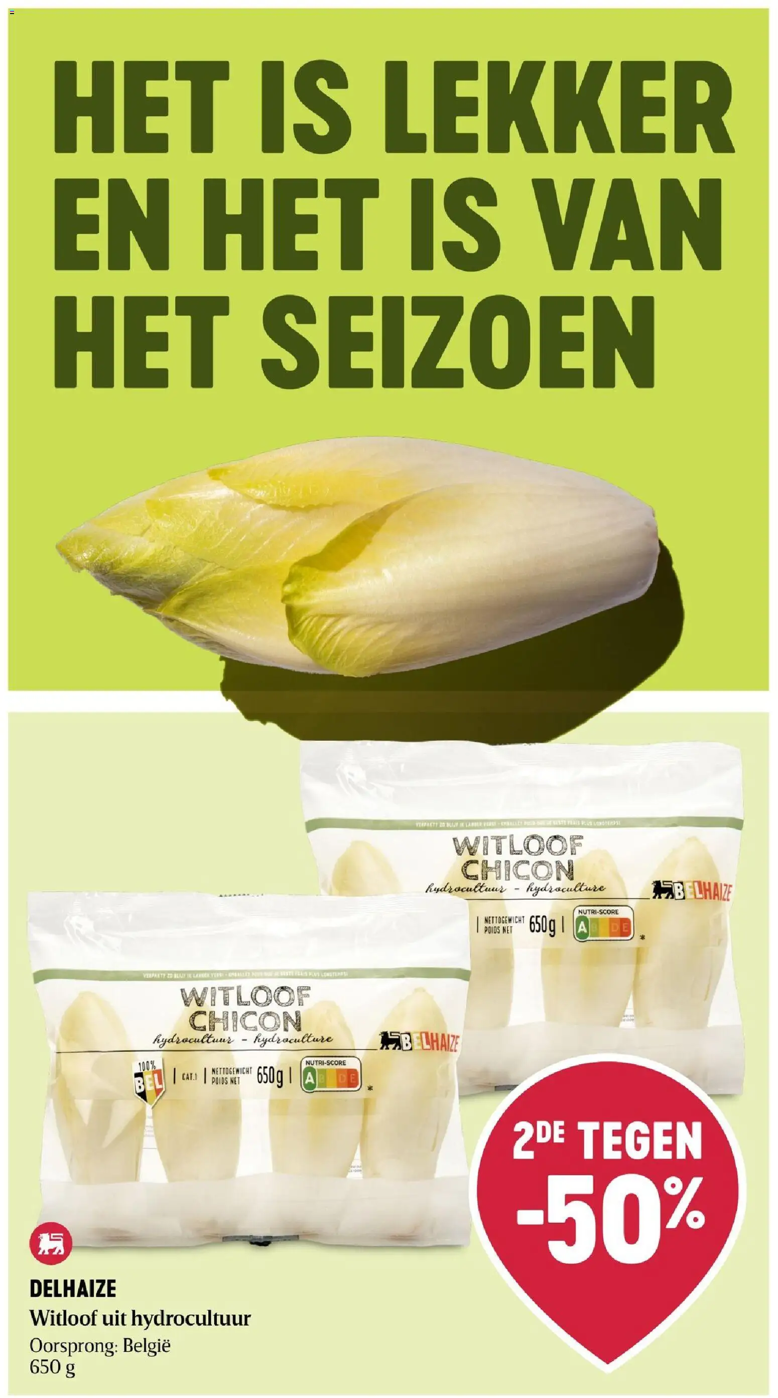 Delhaize folder Folder in België