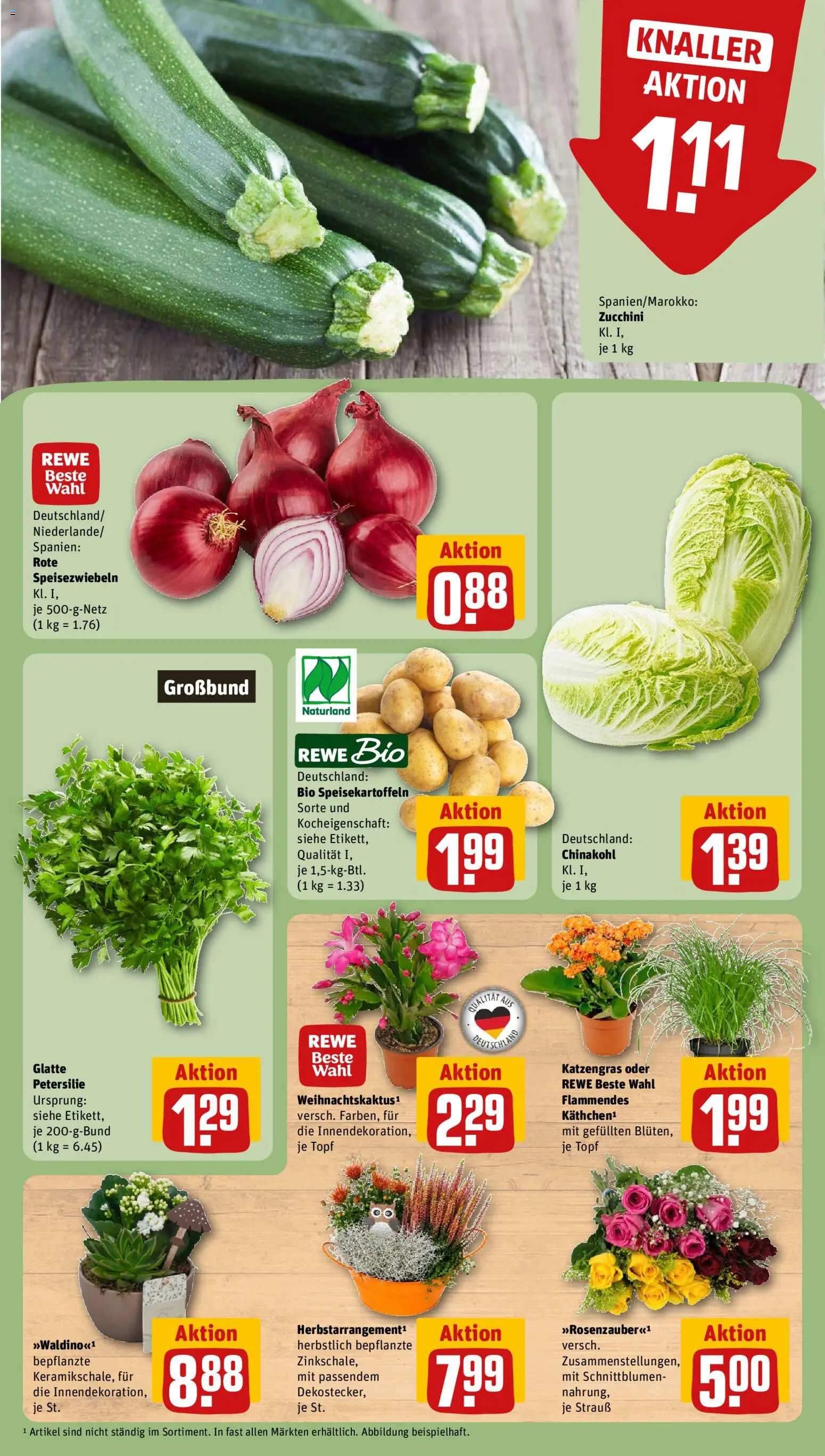 Rewe Prospekt Prospekt in Deutschland