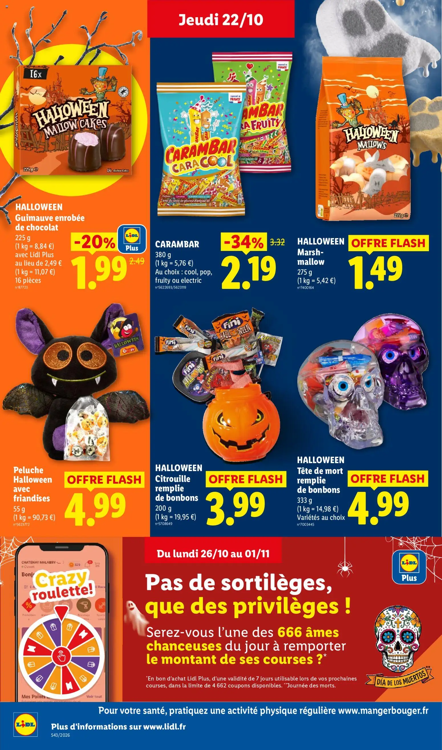 LIDL catalogue Catalogue in France