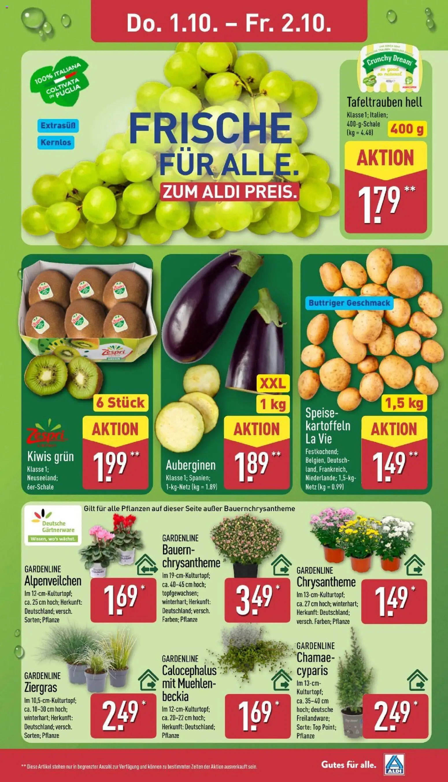 Aldi Prospekt Prospekt in Deutschland