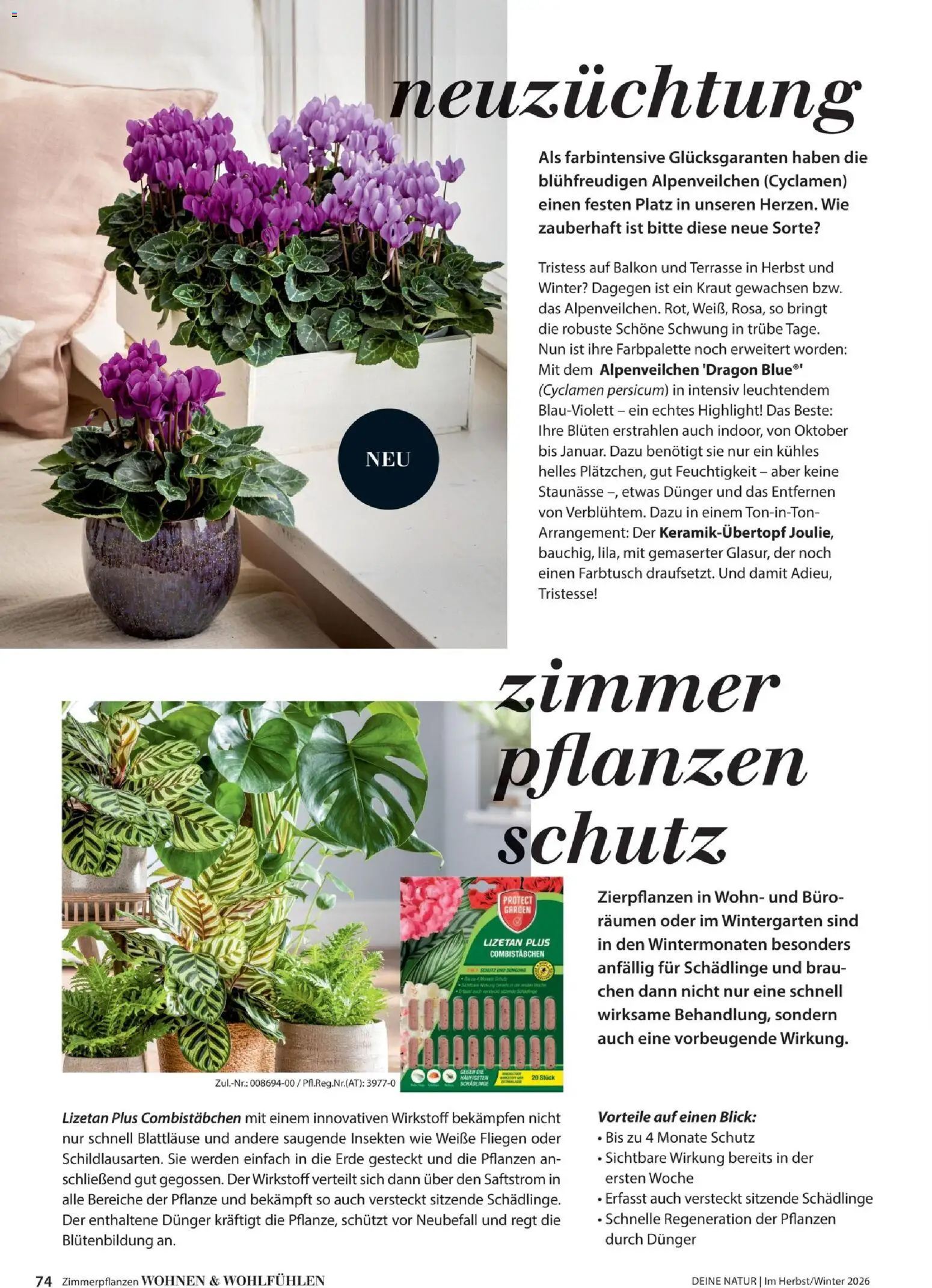 Dehner Prospekt Prospekt in Deutschland