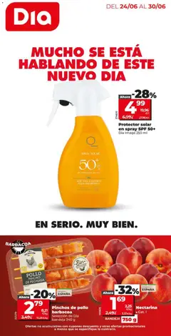 Dia Dia - folleto Market
