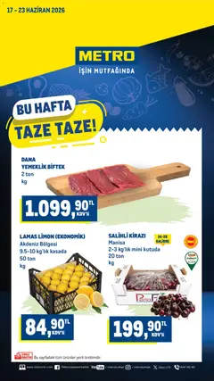 Metro Metro Katalog