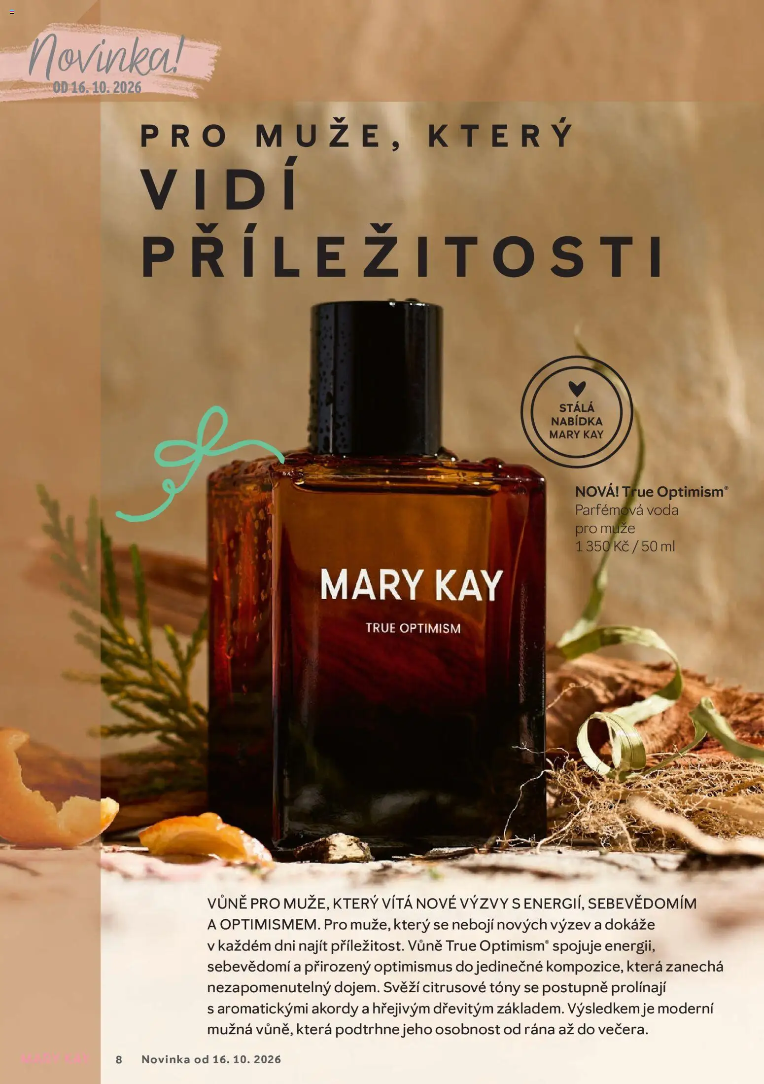 Mary Kay kniha o kráse Leták in Česko