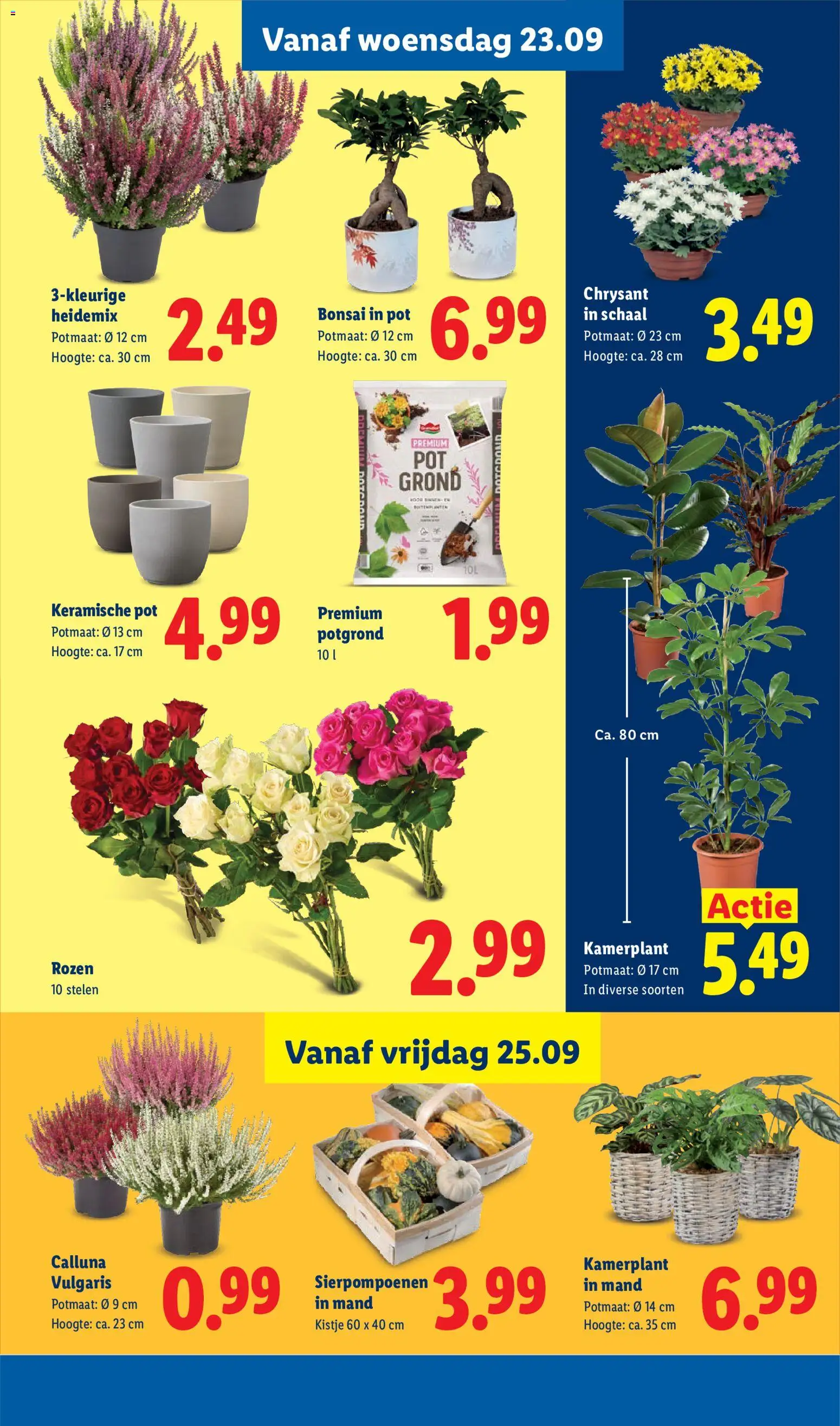 Lidl folder week 39 Folder in Nederland