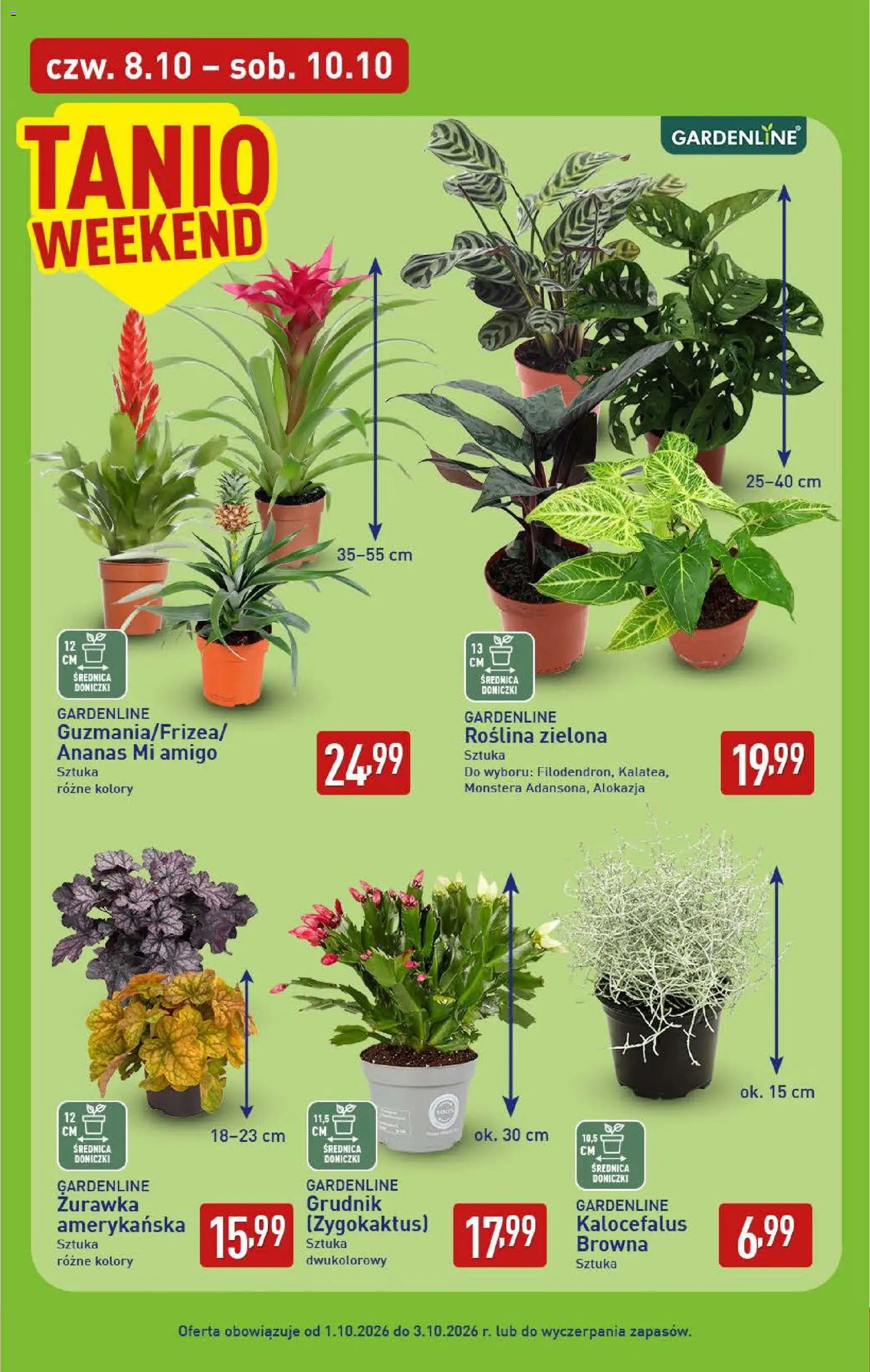 Aldi gazetka Gazetka in Polska
