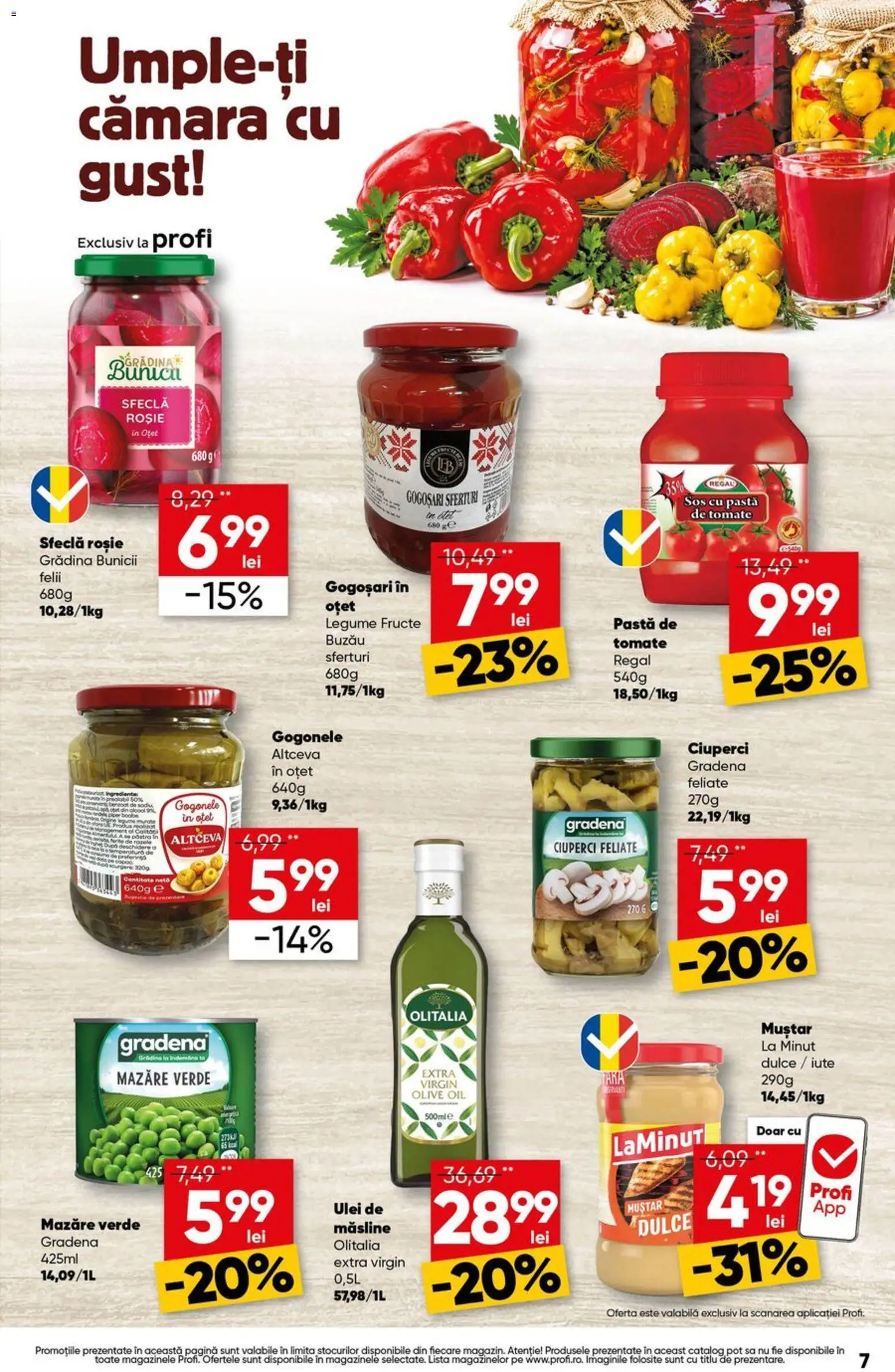 Profi Catalog Catalog in România