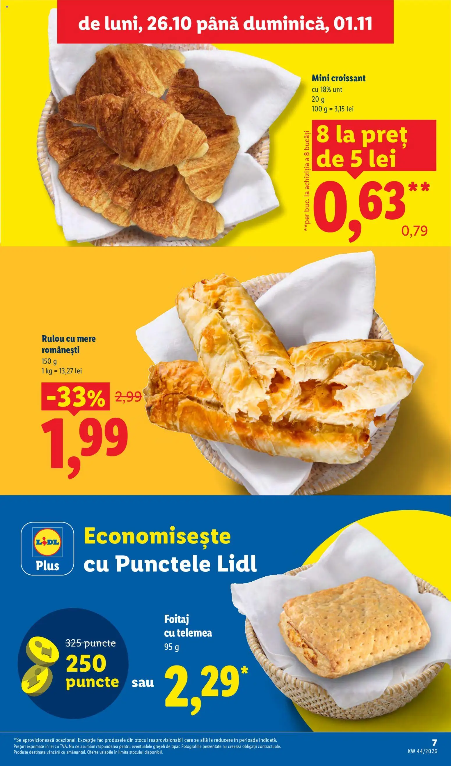 Lidl Catalog Catalog in România