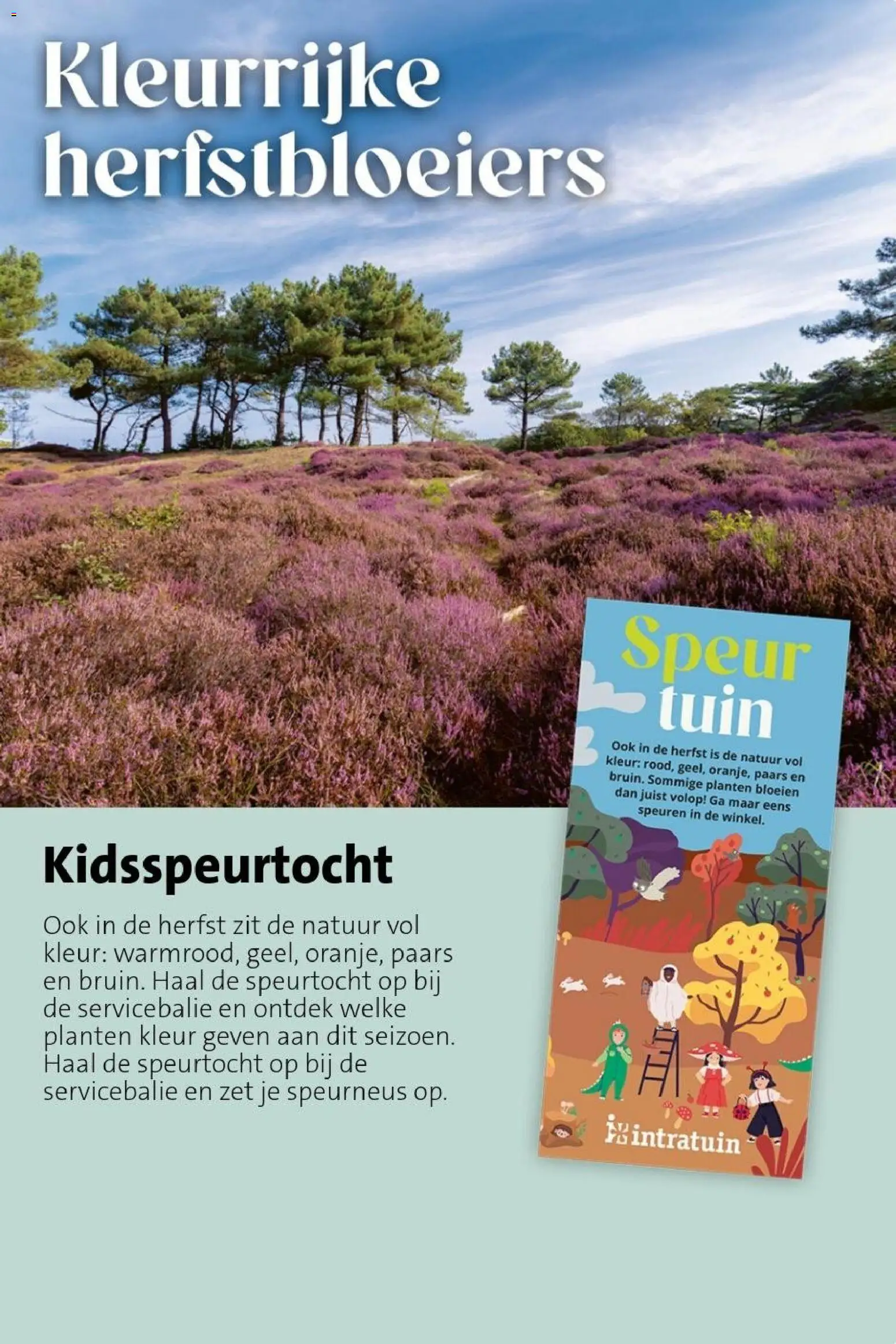 Intratuin folder Folder in Nederland