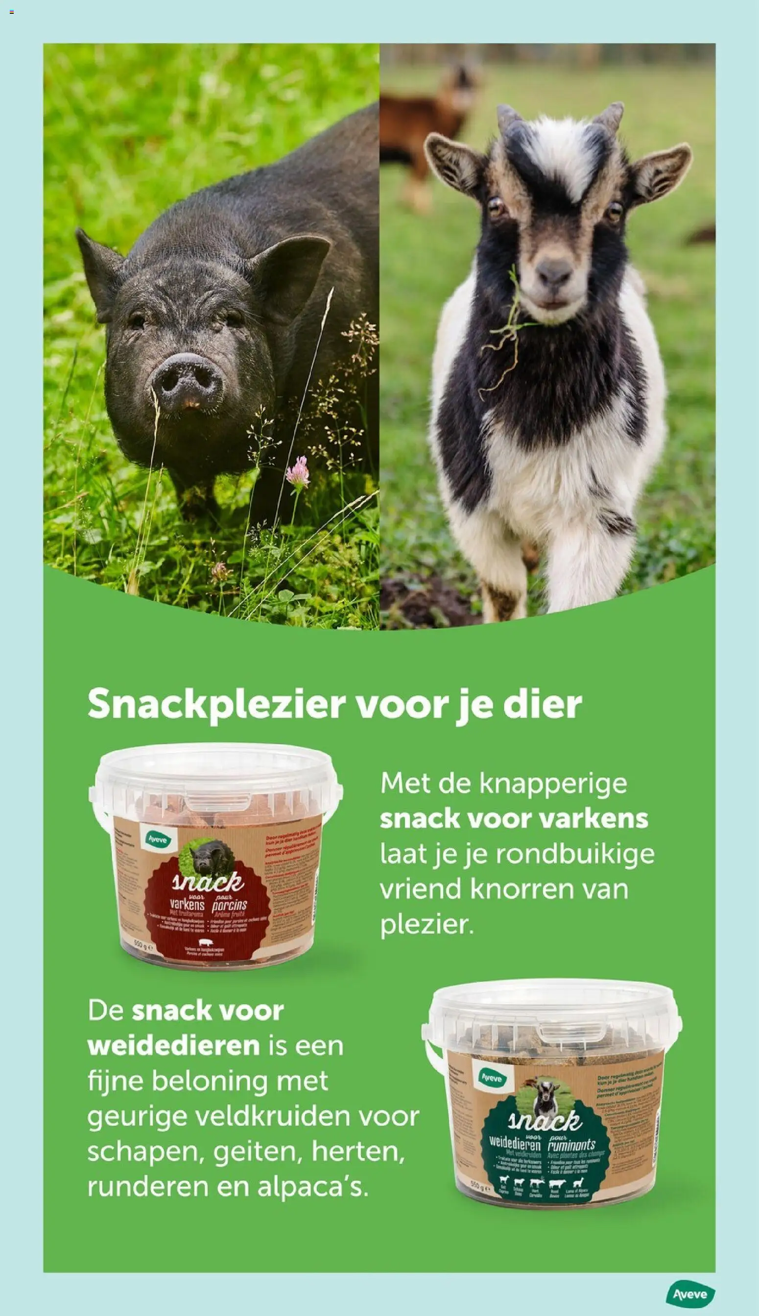 Aveve - Folder Folder in België