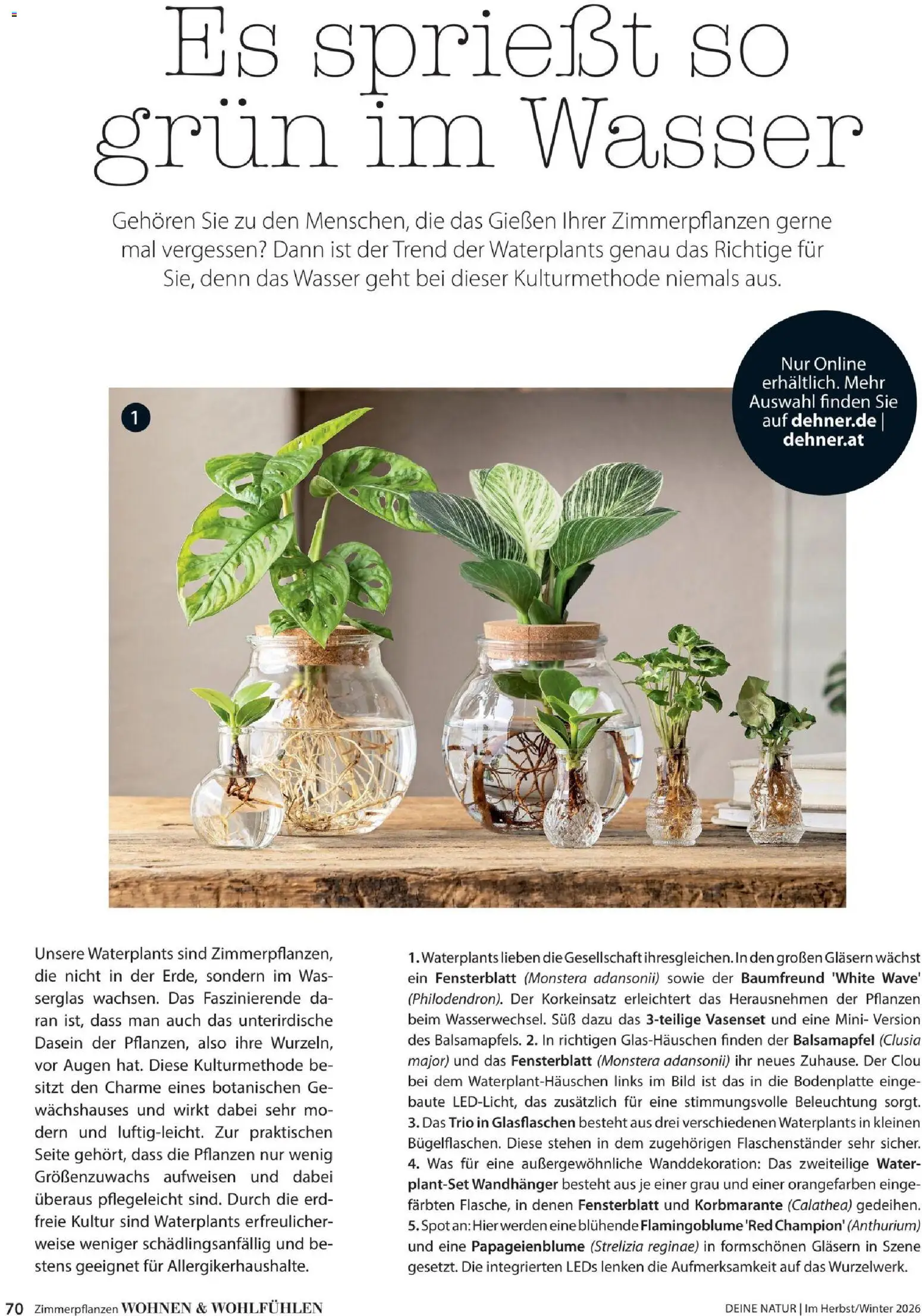Dehner Prospekt Prospekt in Deutschland