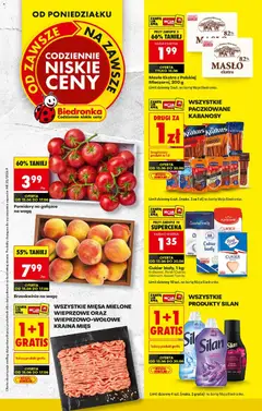 Biedronka Biedronka gazetka od poniedziałku