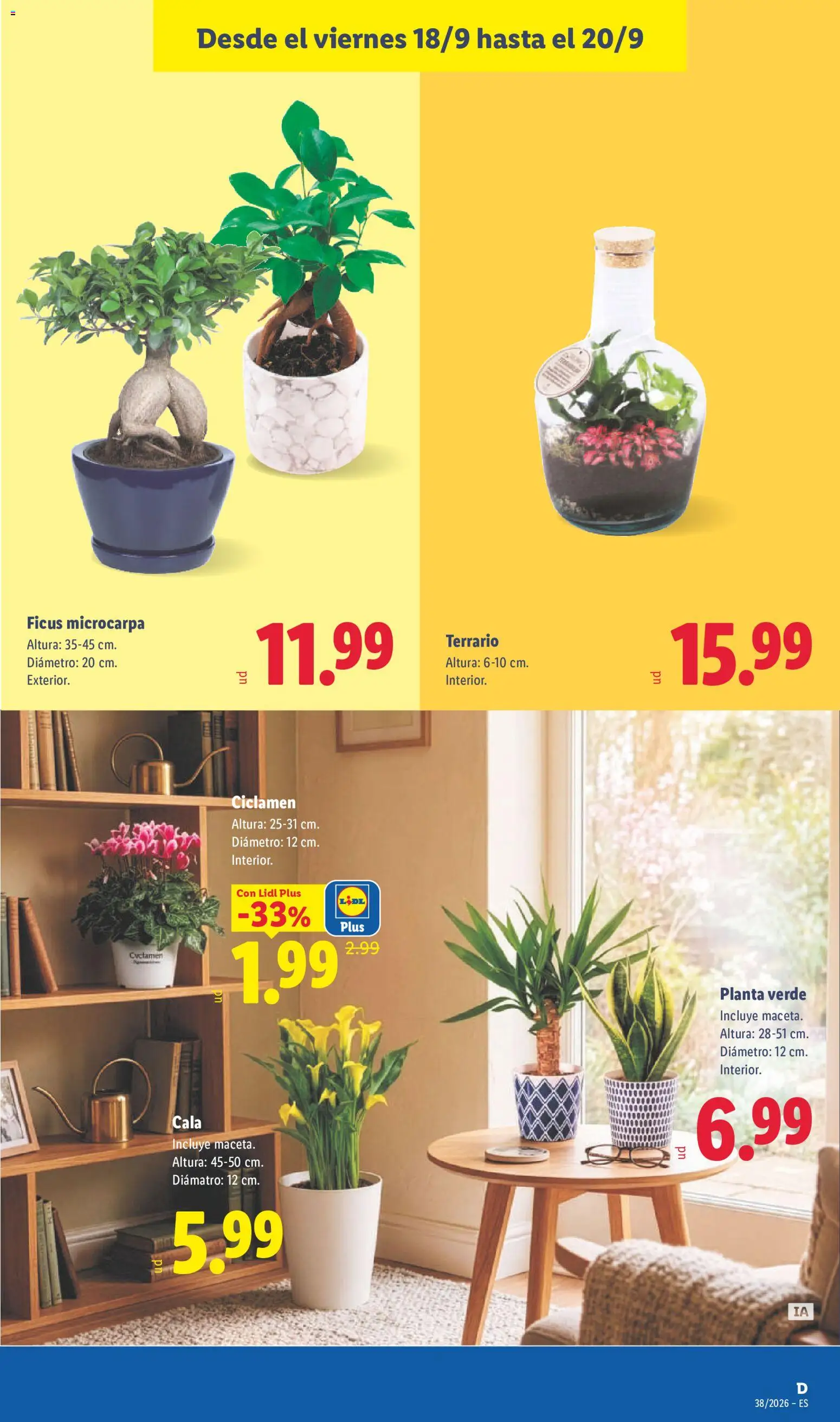 Lidl folleto Folleto in España