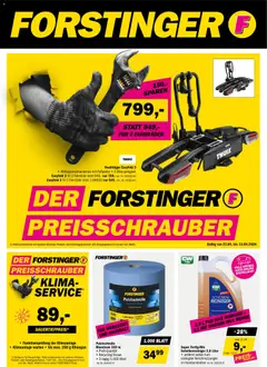 Forstinger Forstinger Flugblatt
