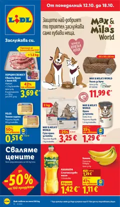 Лидл Лидл Cедмична брошура