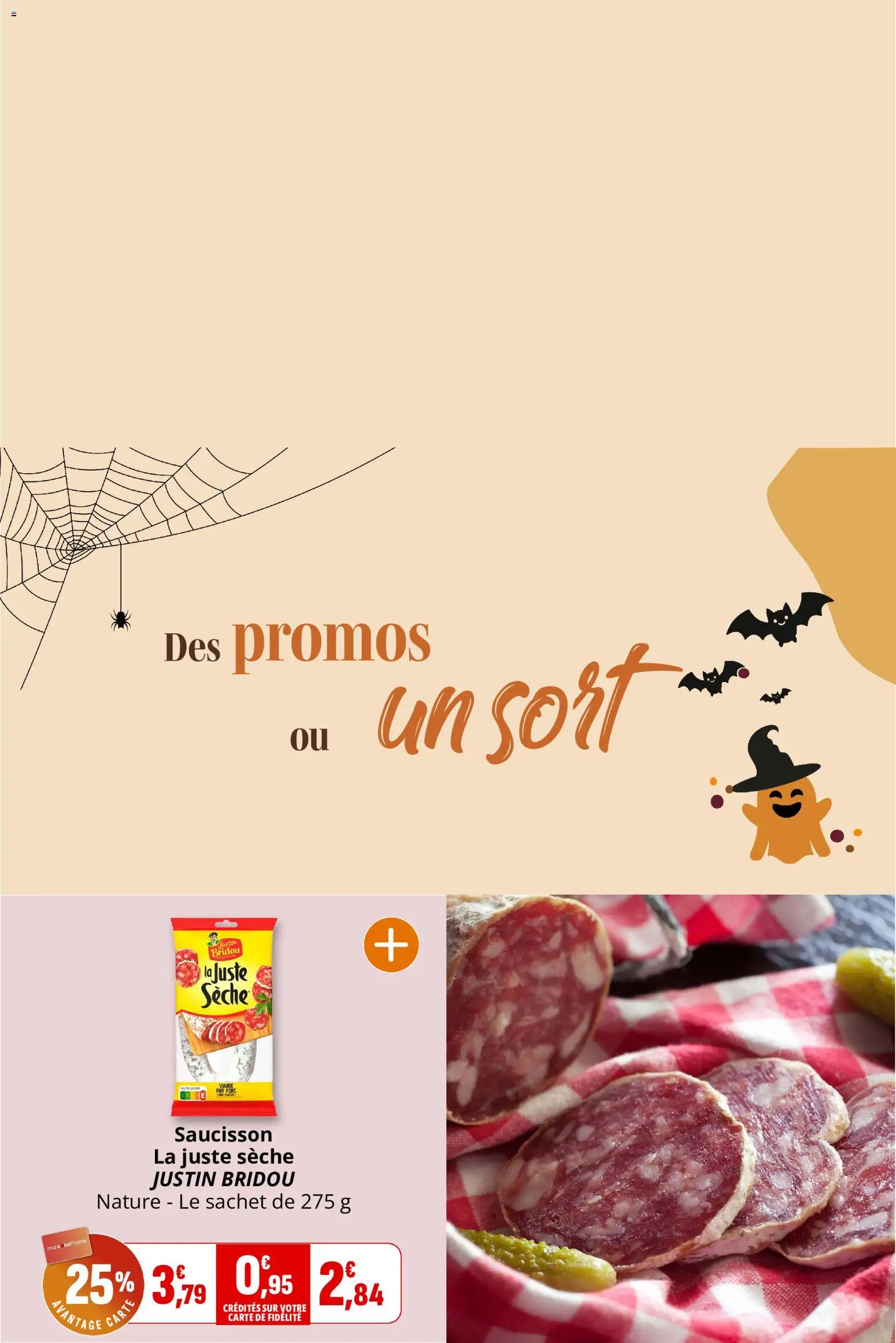 Coccinelle catalogue Catalogue in France