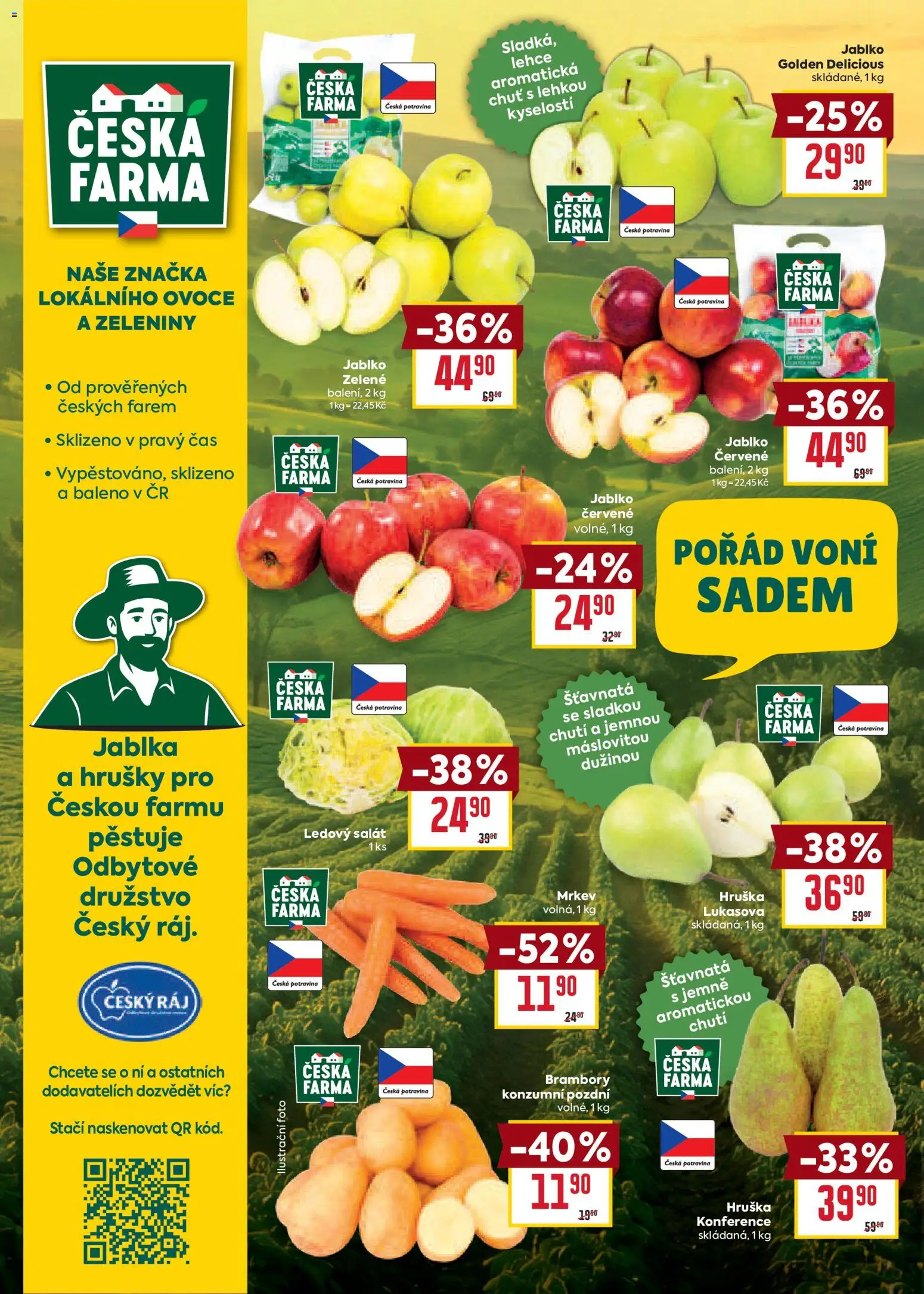 Billa Velký leták Leták in Česko