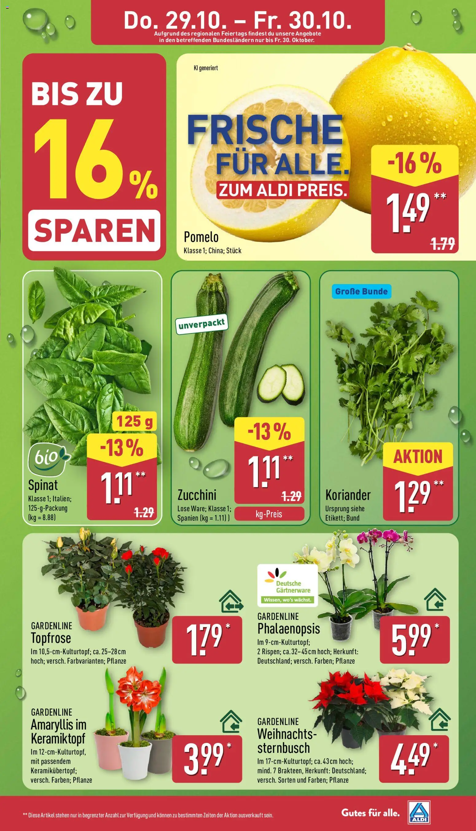 Aldi Prospekt Prospekt in Deutschland