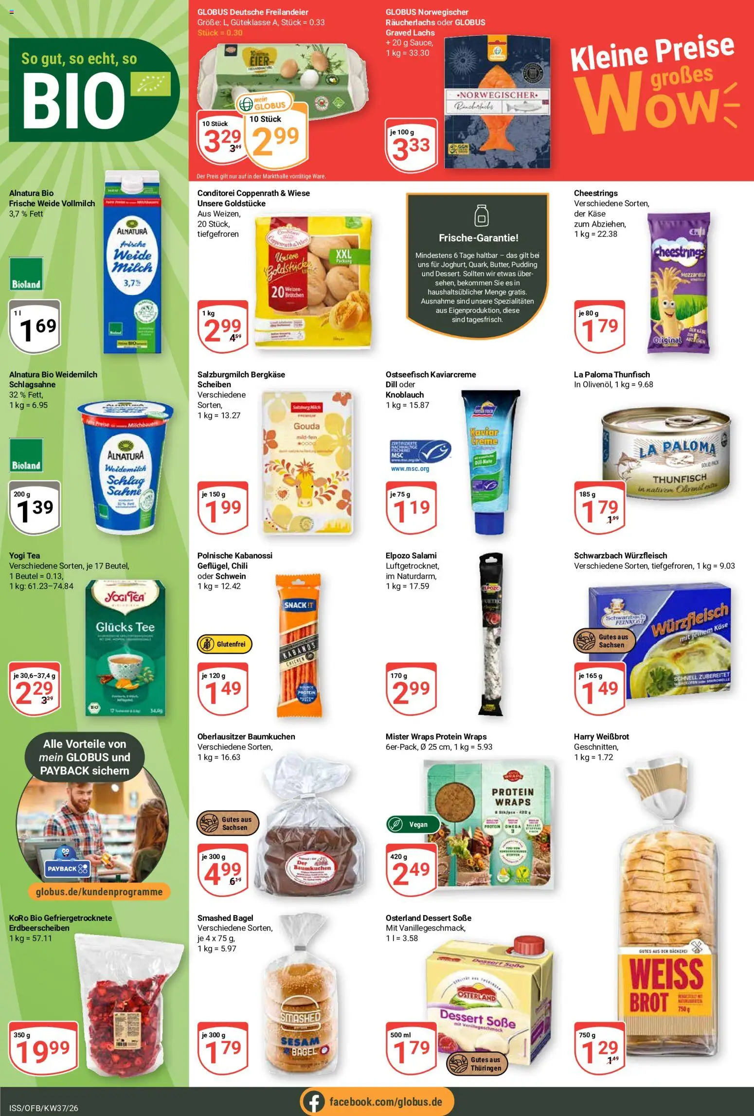 Globus Prospekt Prospekt in Deutschland