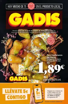 Gadis Gadis - folleto