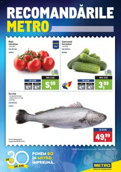 Metro Metro Catalog