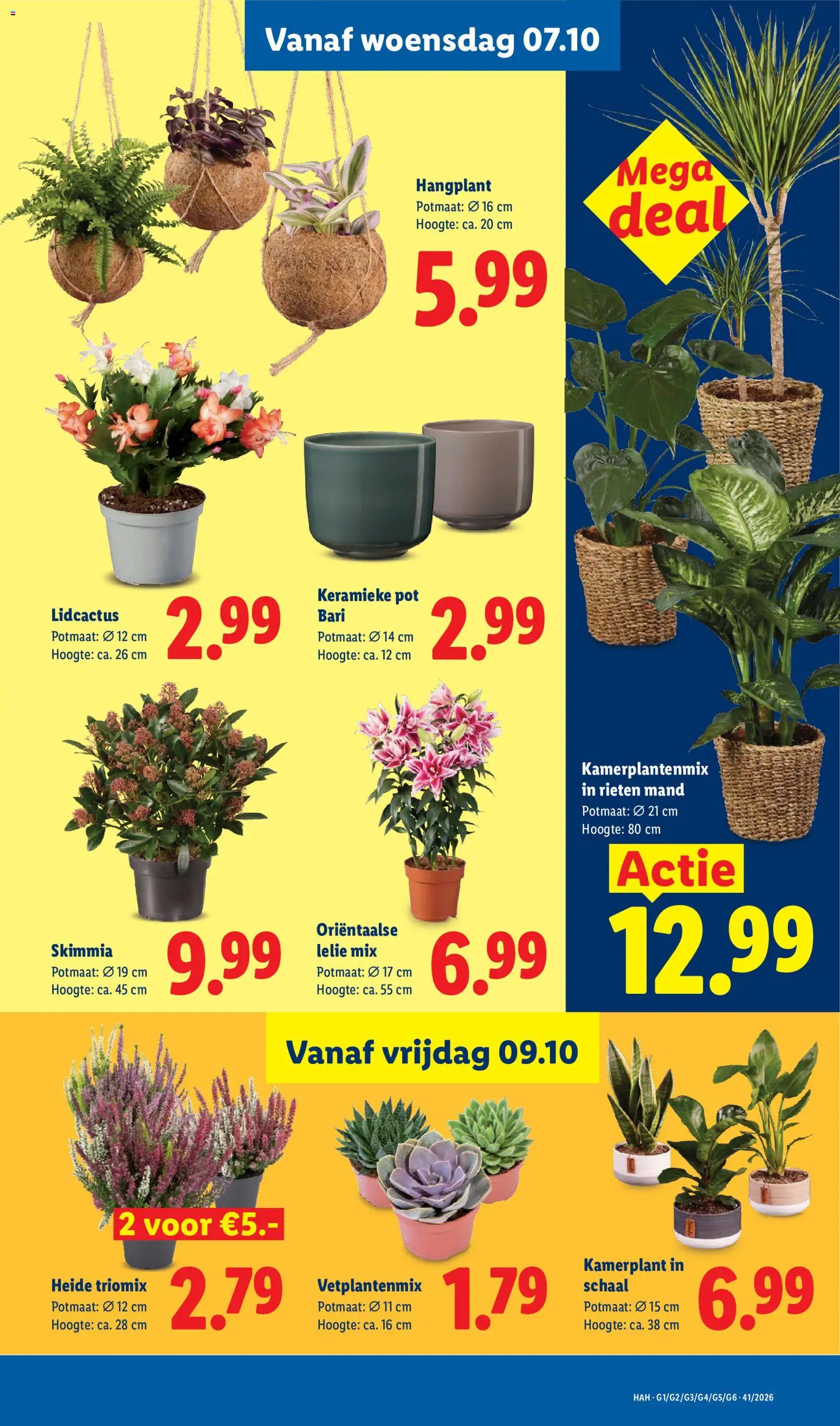 Lidl folder Folder in Nederland