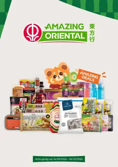  Active Oriental folder