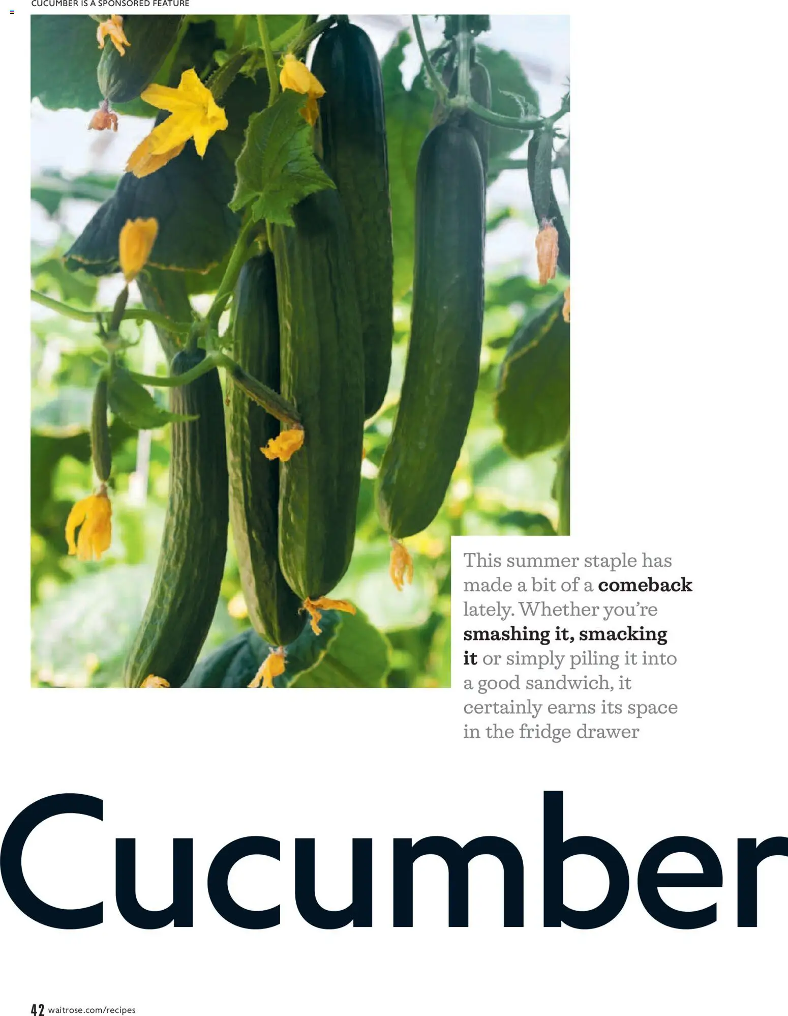 Do you know WHAT OFFERS await you at Waitrose? View the July flyer online! | United Kingdom