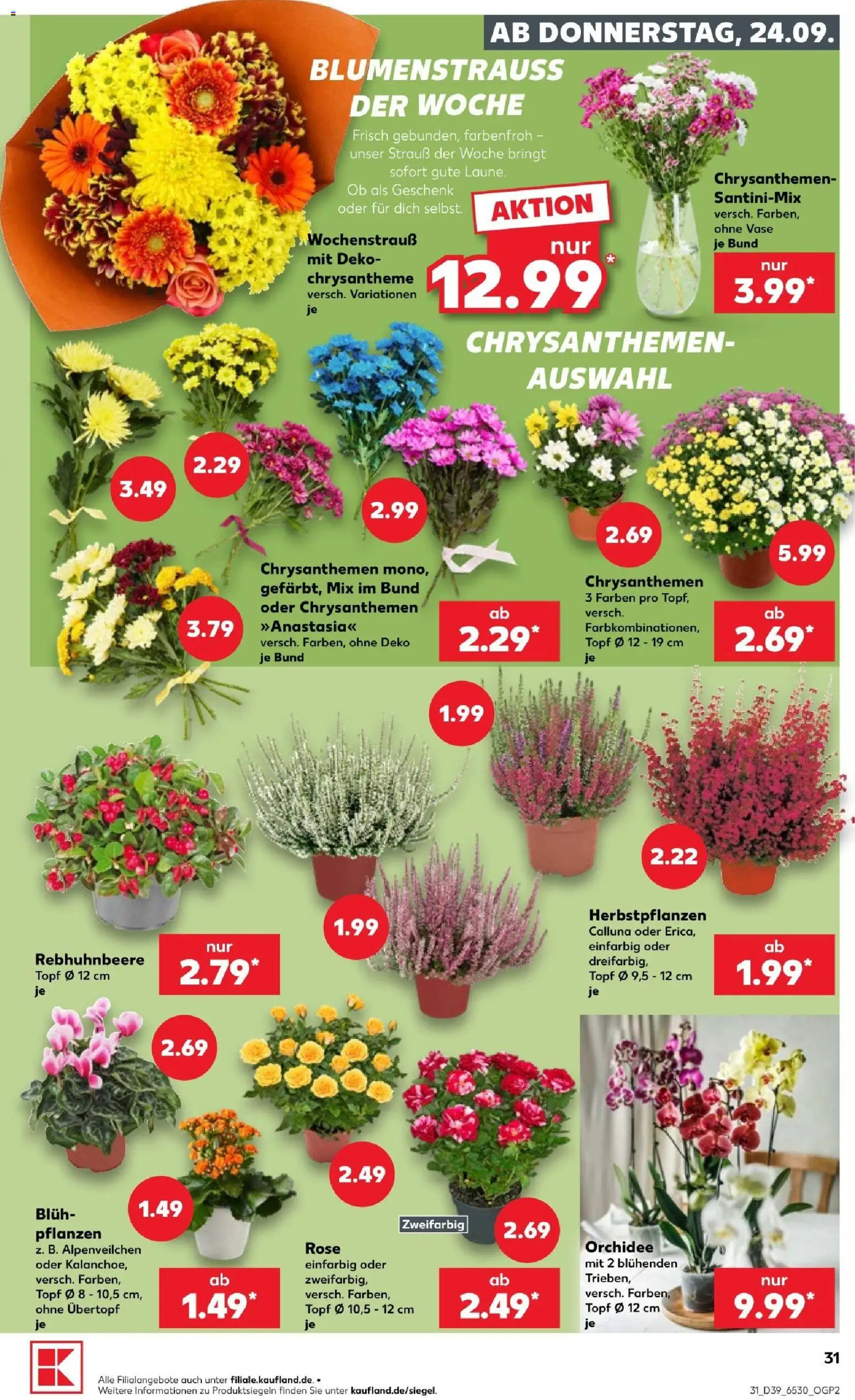 Kaufland Prospekt Prospekt in Deutschland