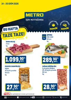 Metro Katalog Aktüel Broşür ve Katalogları