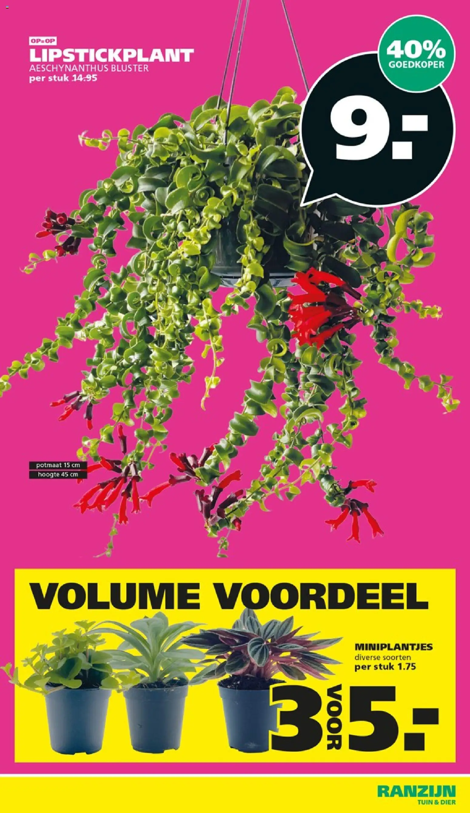 Ranzijn folder Folder in Nederland