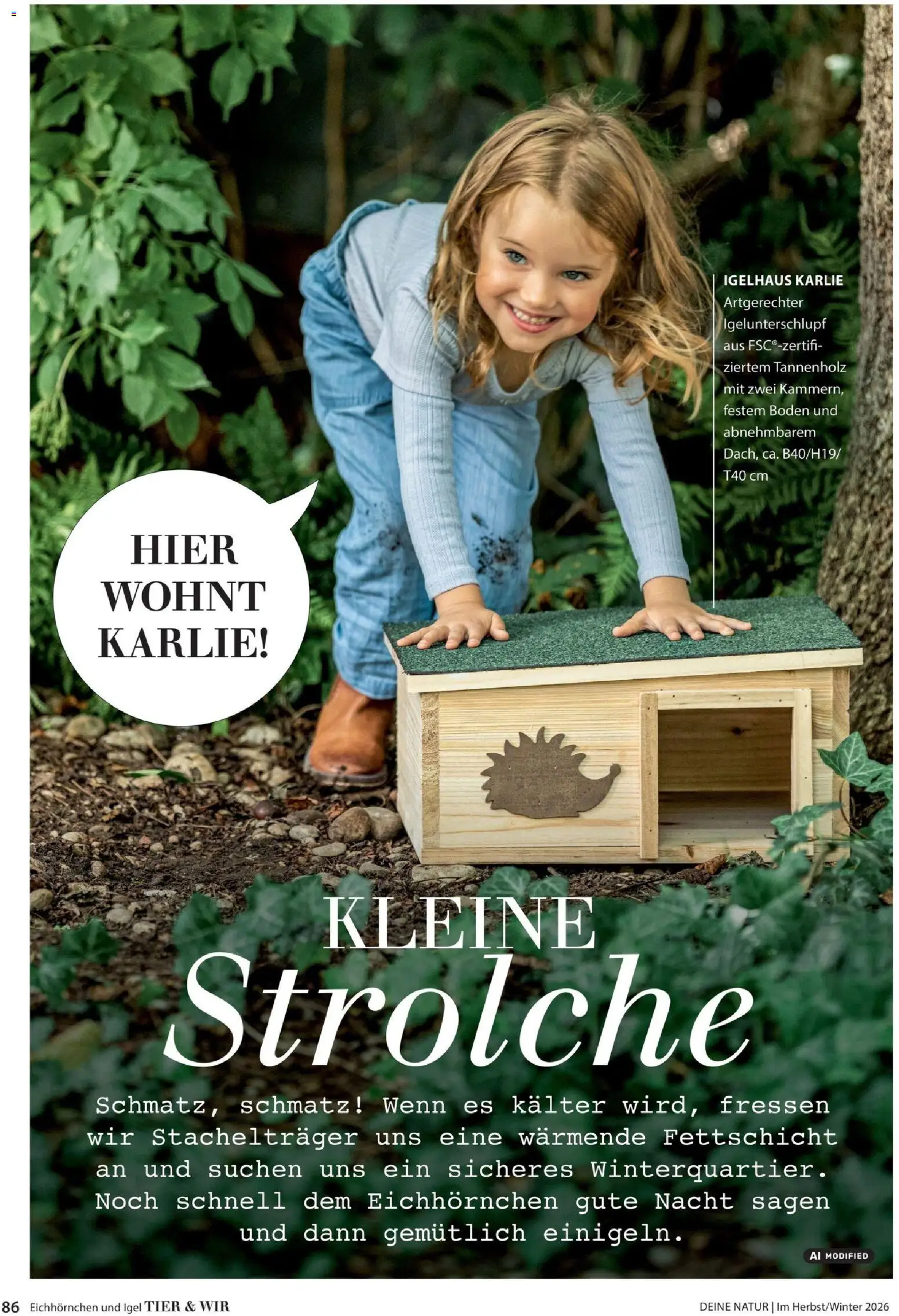 Dehner Prospekt Prospekt in Deutschland
